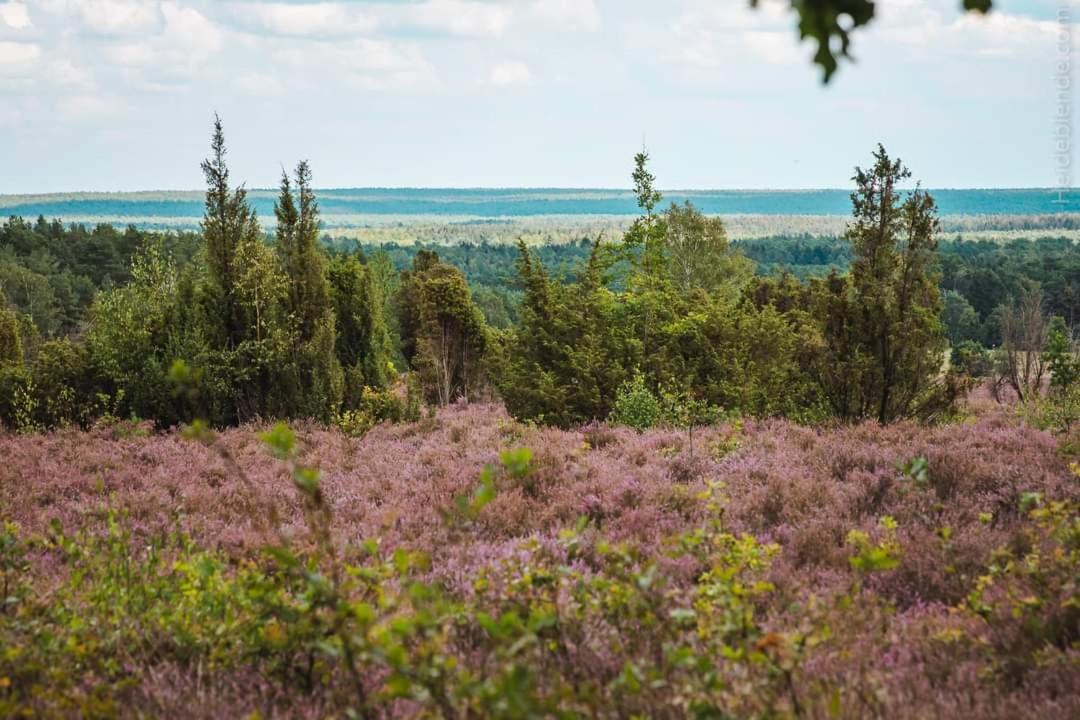 Ferienwohnung Ram 1 Hermannsburg Kültér fotó